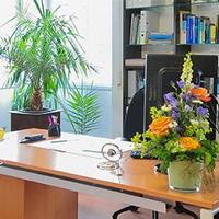 Sprechzimmer Thomas Probst Neurologe M&uuml;nchen